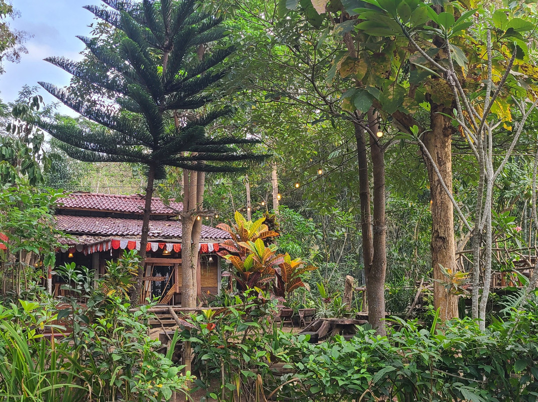 Pule Payung景点图片