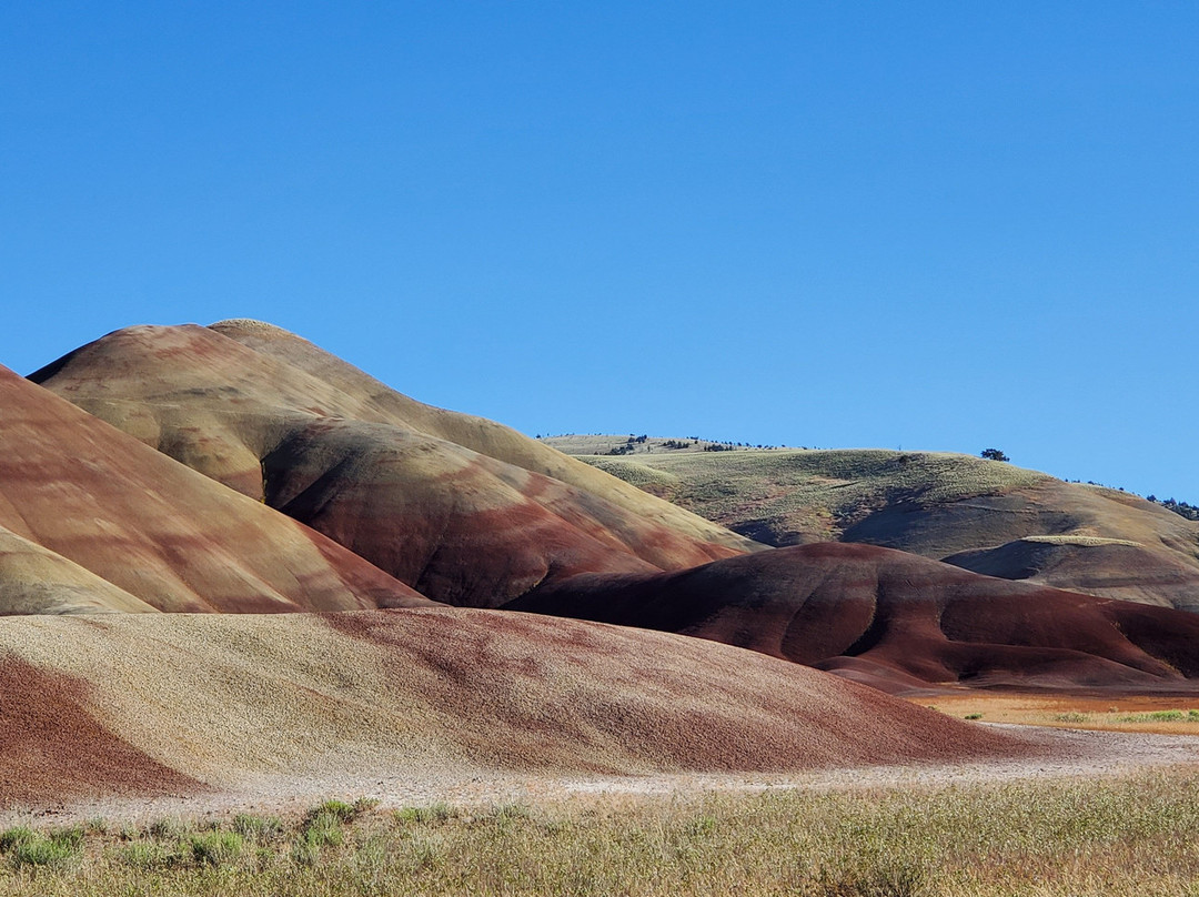 John Day Fossil Beds National Monument, Painted Hills Unit景点图片