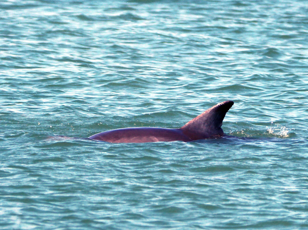 Roberts Point Park-阿兰瑟斯港必去景点