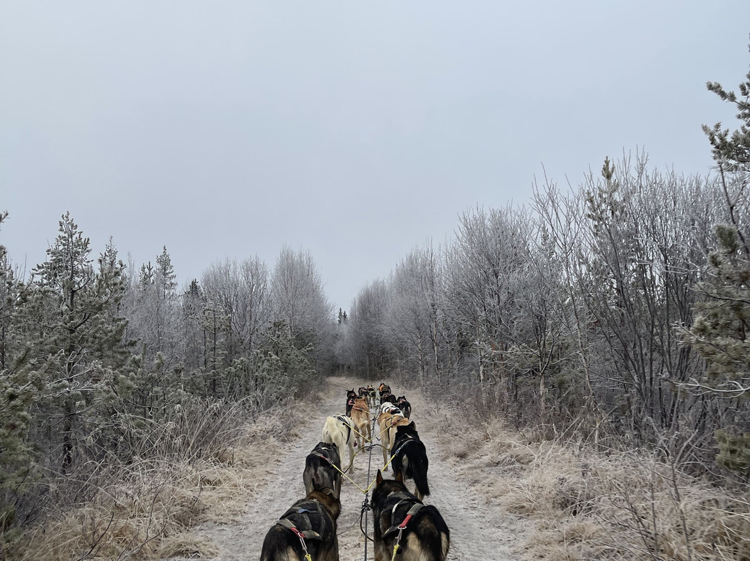 All Huskies-Kittilä必去景点