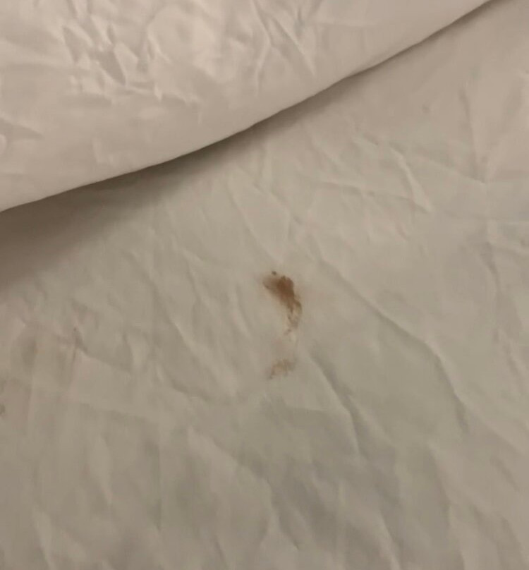 Days Inn by Wyndham Sioux Falls Airport主图