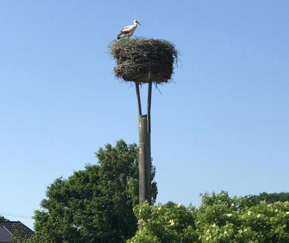 Landhaus zum Storchennest