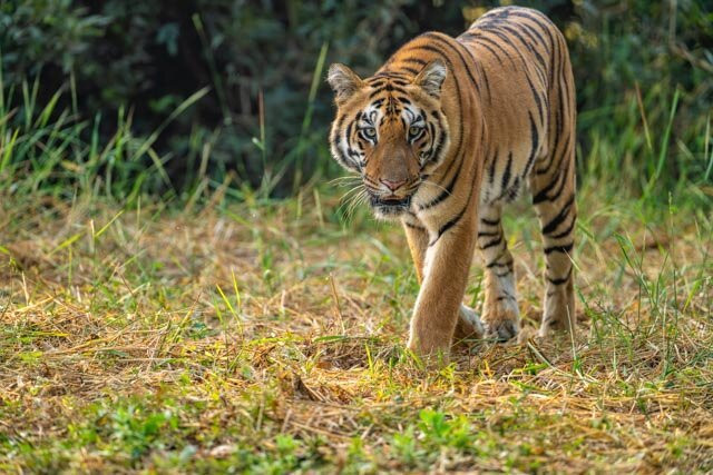 Excellent Stay At Mall主图