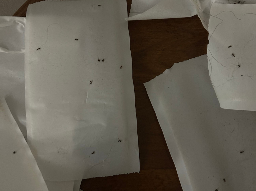 Ramada by Wyndham Medicine Hat主图