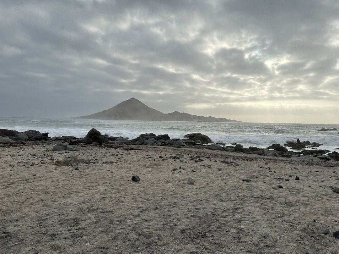 Pan de Azucar National Park-Chanaral必去景点