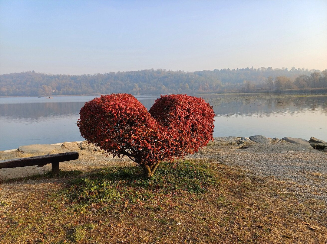 Lago di Alserio景点图片