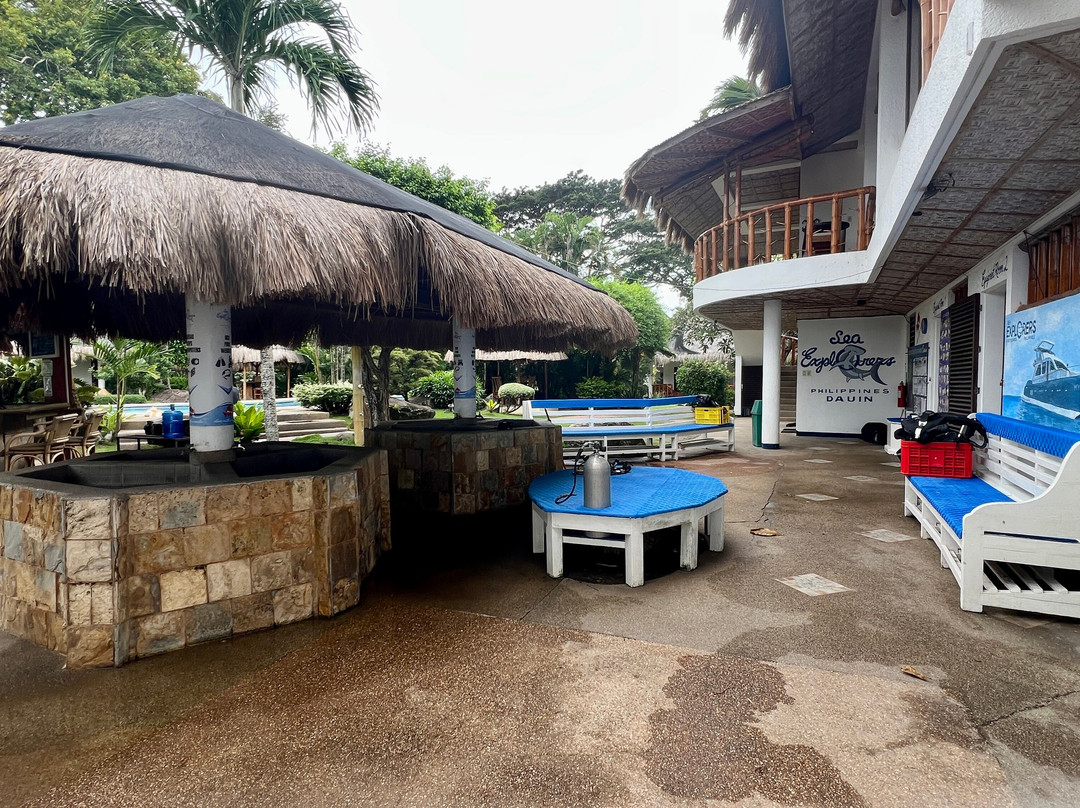 Pura Vida Beach & Dive Resort主图