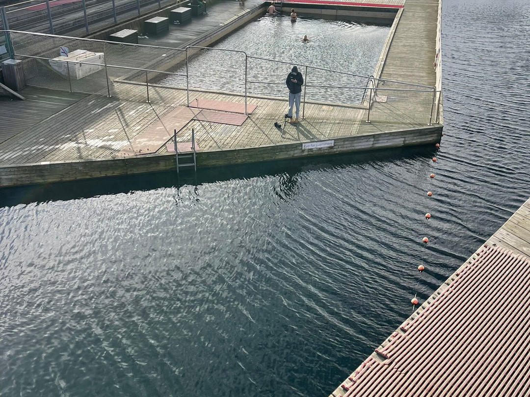 Islands Brygge-哥本哈根必去景点