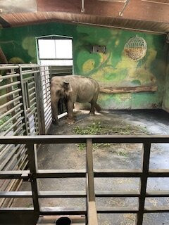 ZOO Ljubljana-卢布尔雅那必去景点