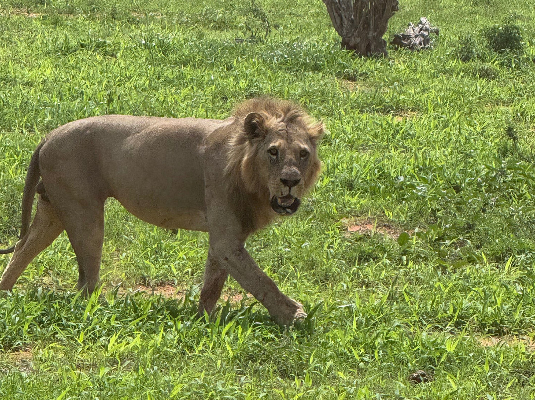 Max Discovery Kenya-瓦塔木必去景点
