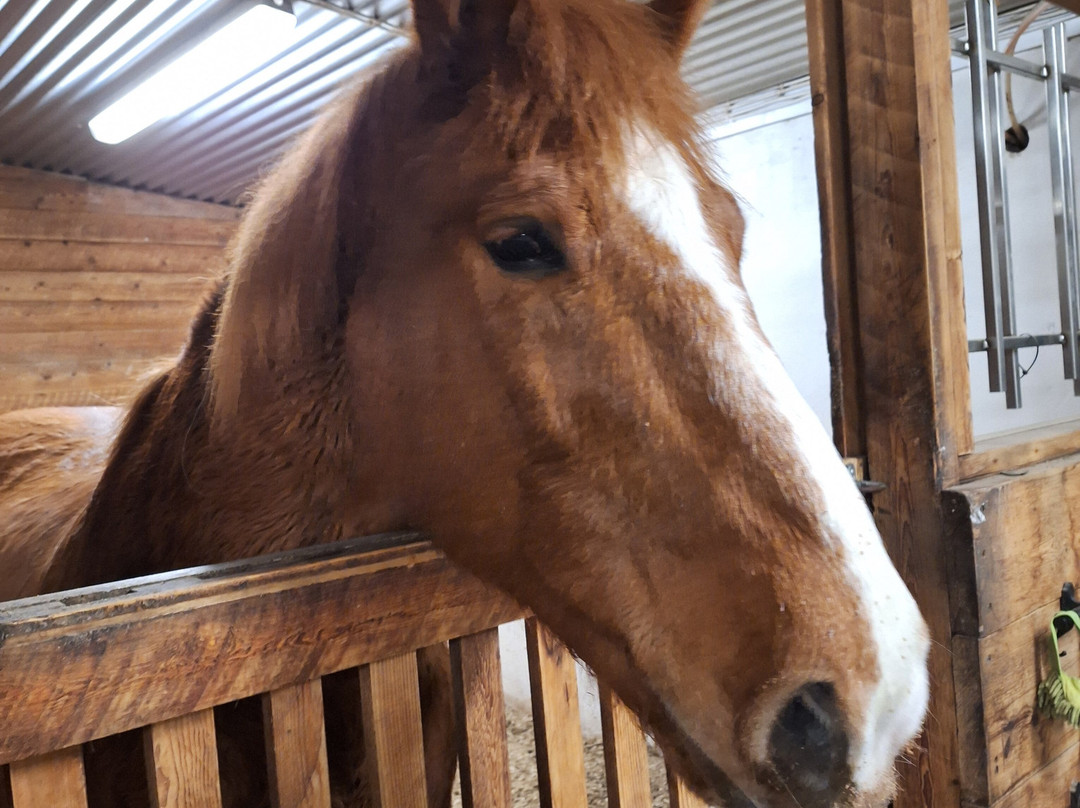 Ruska Laukka-库萨莫必去景点