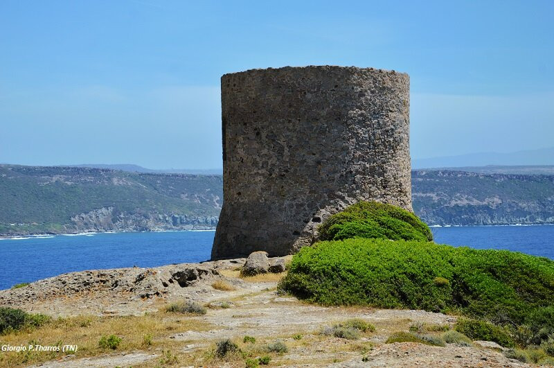 Torre Argentina-博萨必去景点