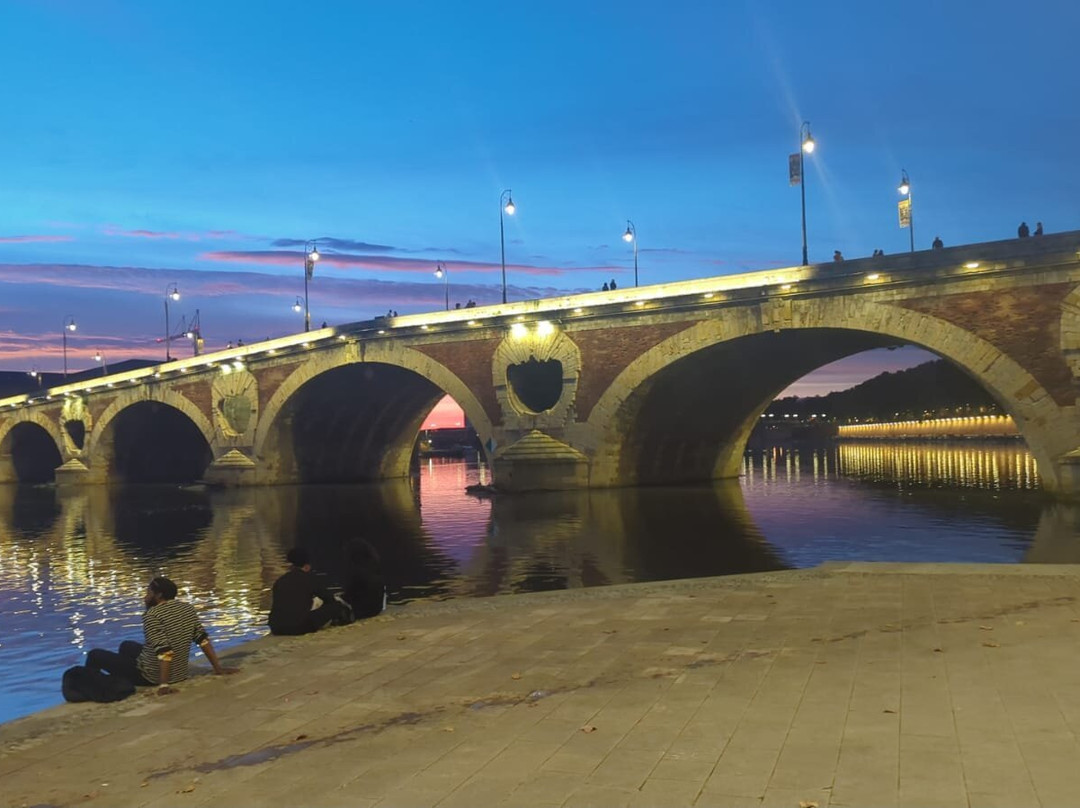 Pont Neuf Toulouse景点图片