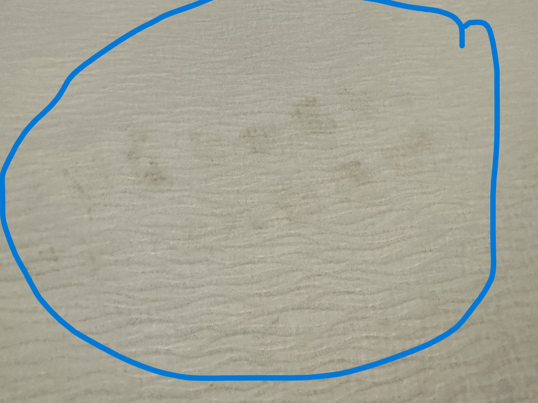 Best Western London Airport Inn & Suites主图