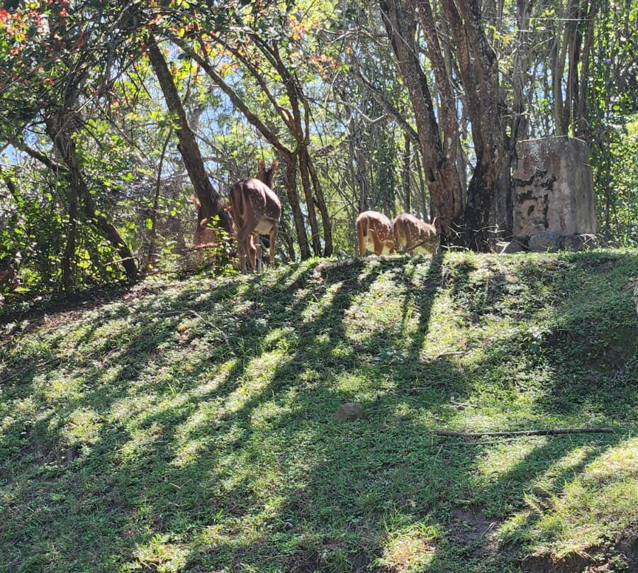 Bamboo Banks Farm Guest House主图