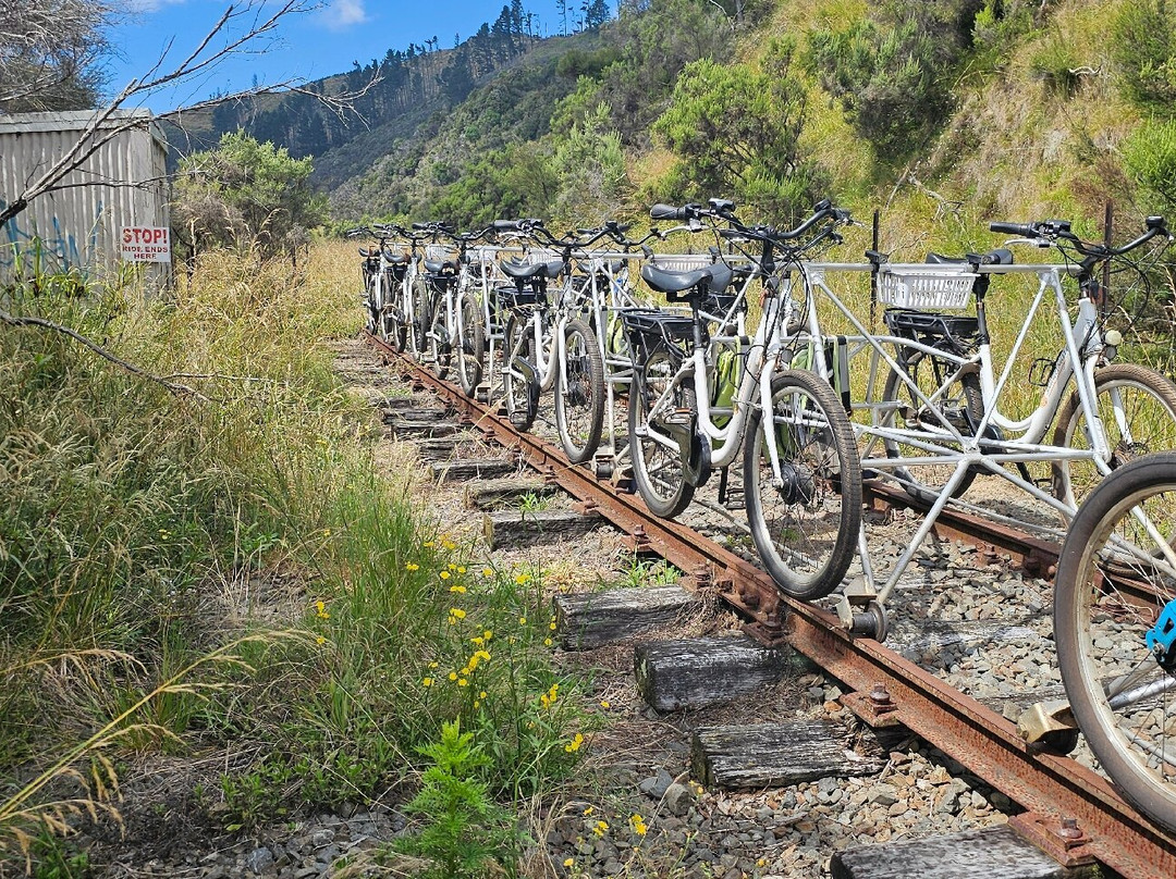 Gisborne Railbike Adventure景点图片