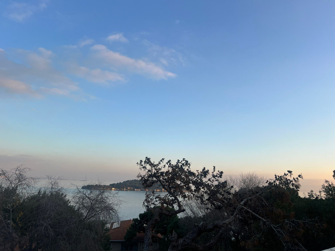 Triada Hotel Buyukada