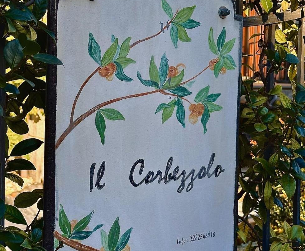 Il Corbezzolo