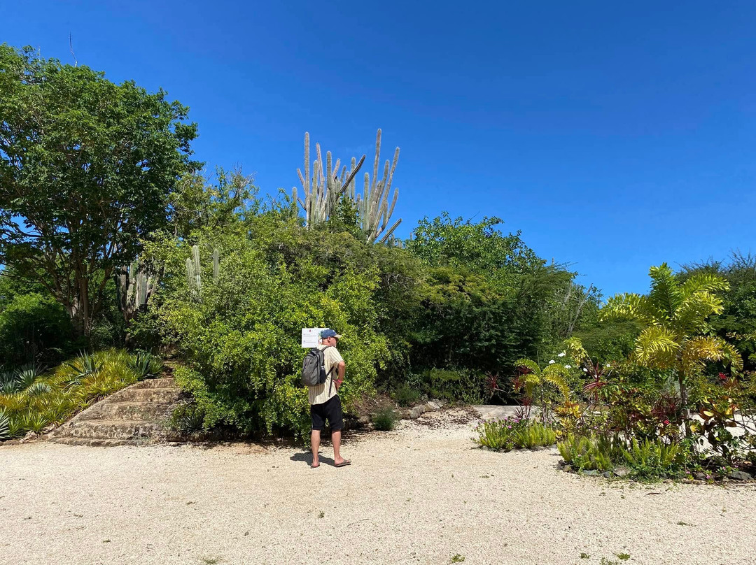 Hòfi Mango-威廉斯塔德必去景点