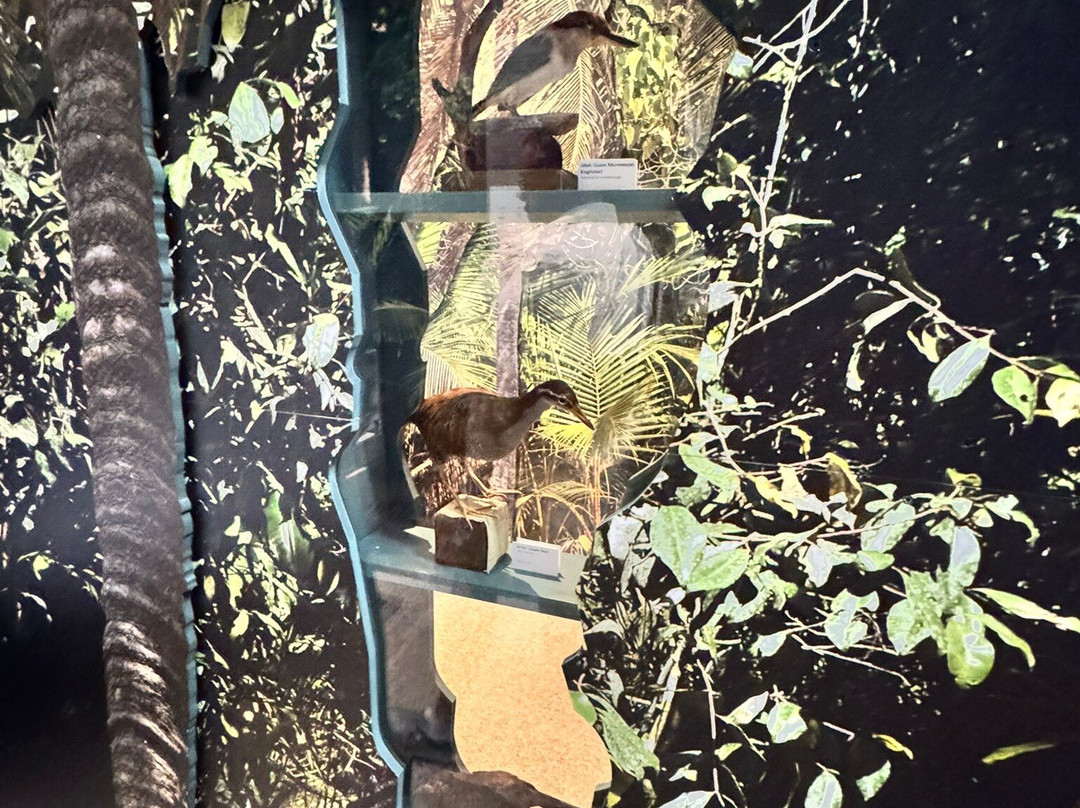 关岛博物馆-阿加尼亚必去景点