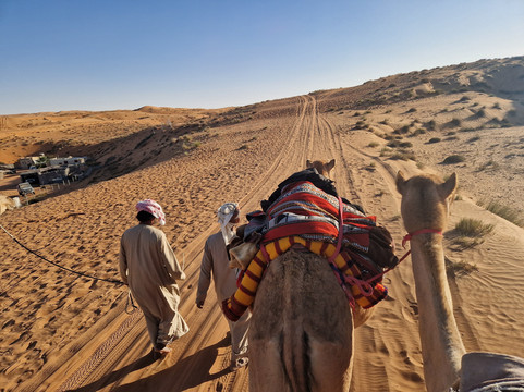 Nomadic Desert Camp主图