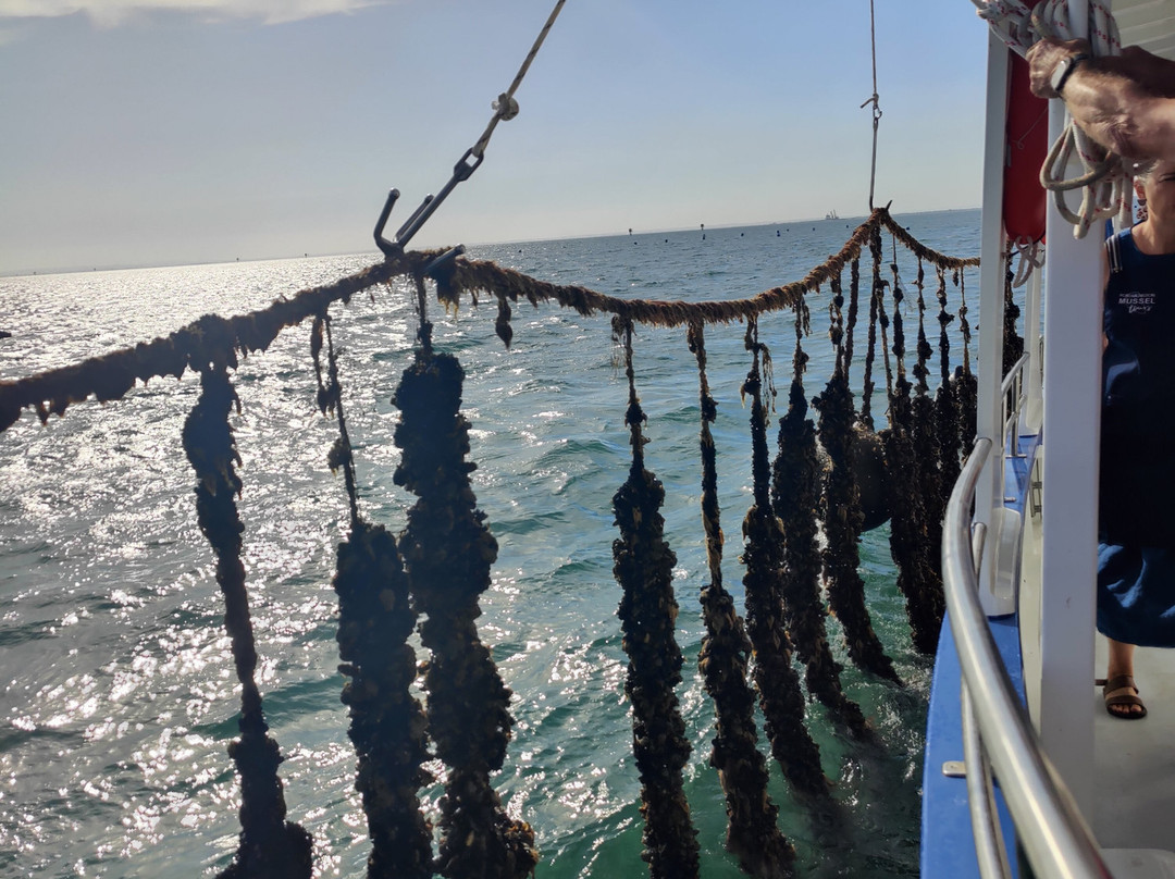 Portarlington Mussel Tours-Portarlington必去景点