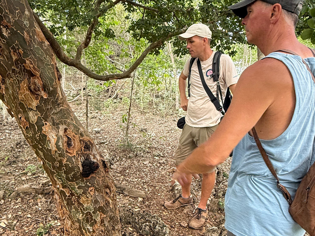 HopiBonaire-Bonaire必去景点