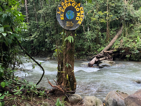查查古亚雨林酒店及庄园主图