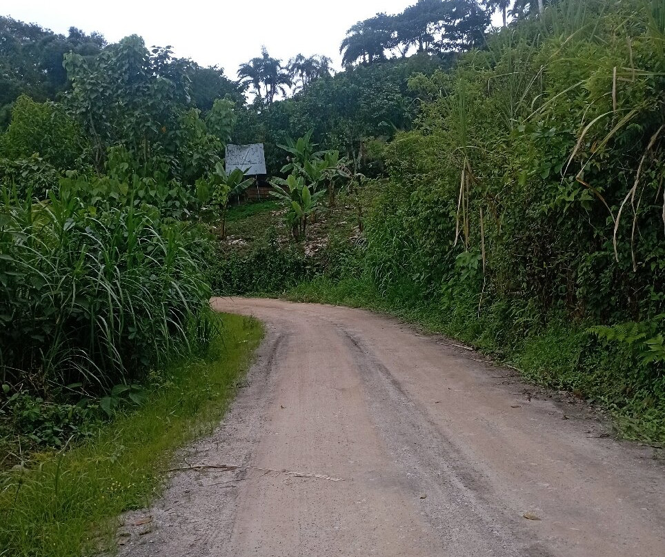 Museo Shuarnum, Zamora-Zamora必去景点