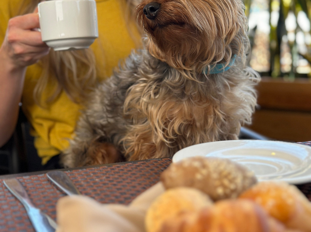 La Quinta by Wyndham Quito主图