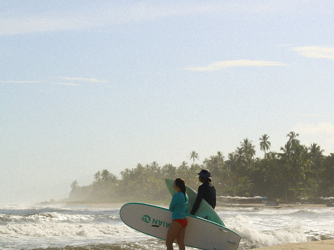 Onboard Surfschool景点图片