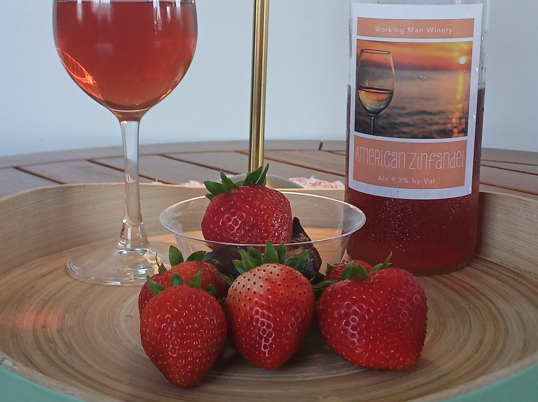 Working Man Winery-Lebanon必去景点