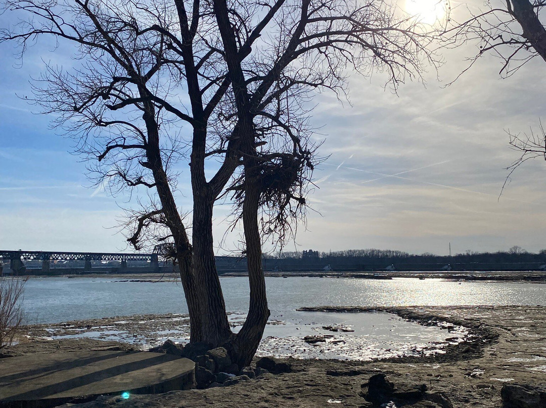 Falls of the Ohio State Park-Clarksville必去景点