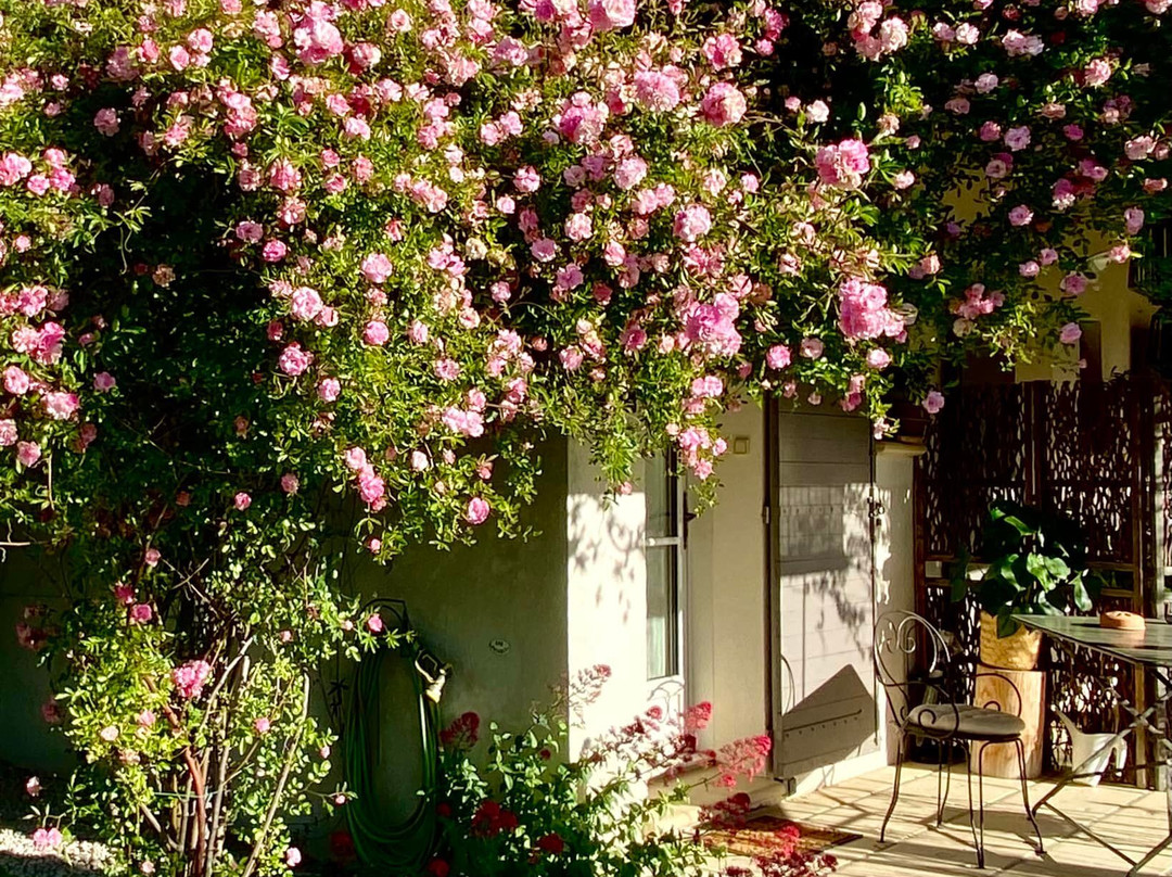 Le Jardin de Lau主图