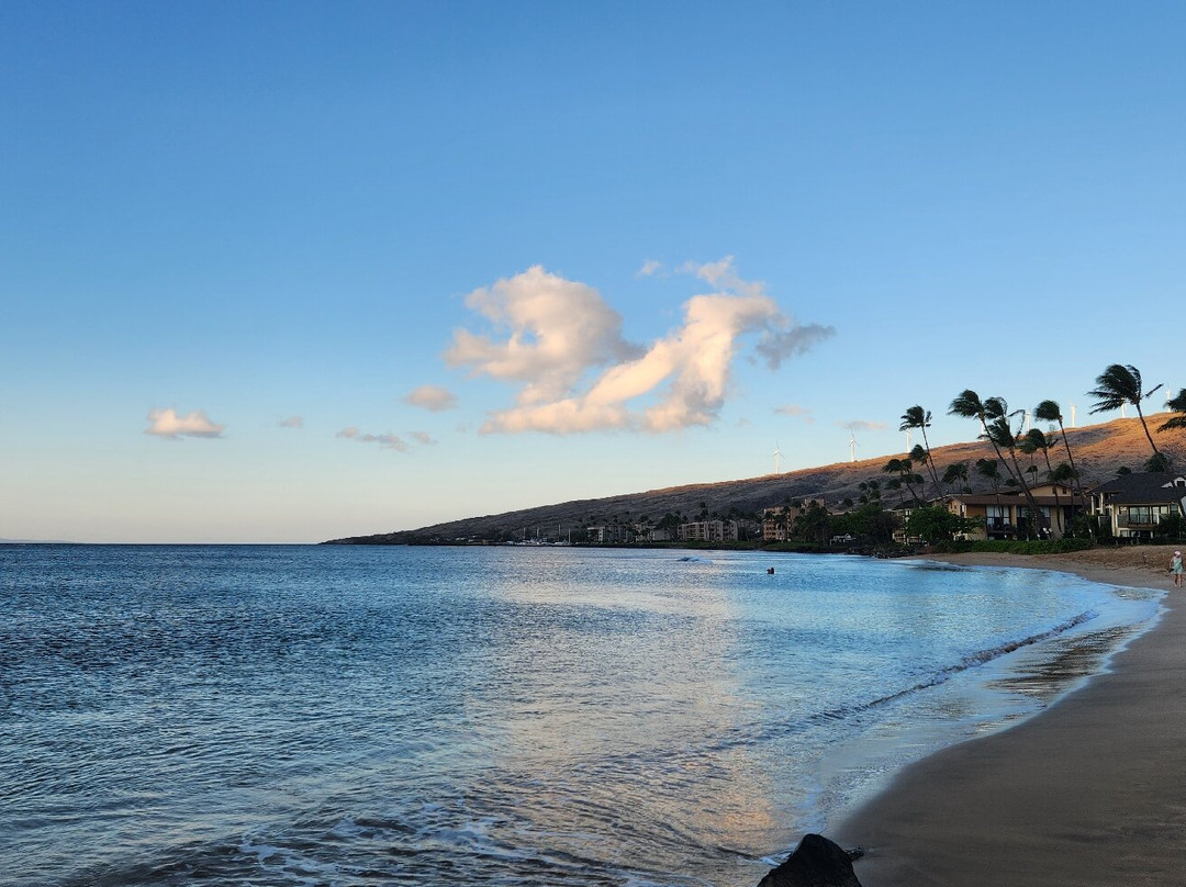 Haycraft Park-玛阿拉也亚必去景点