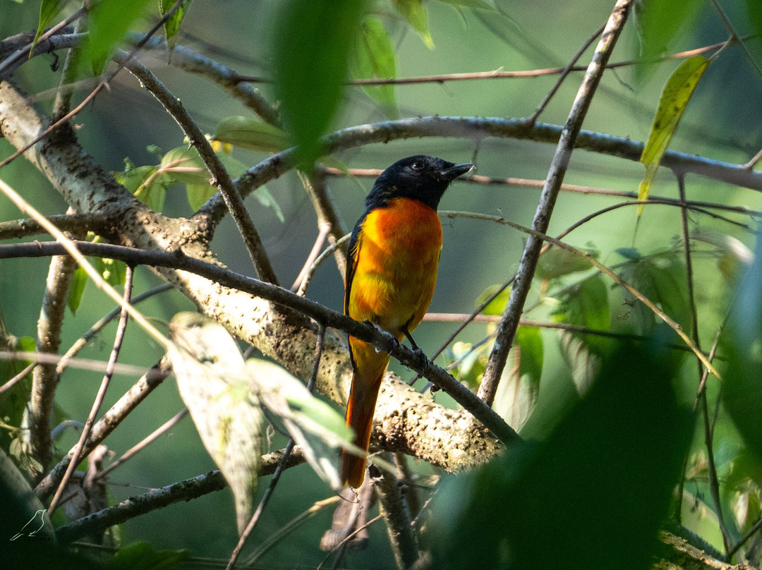 Sri Lanka Tours By Wildscape-Dunagaha必去景点
