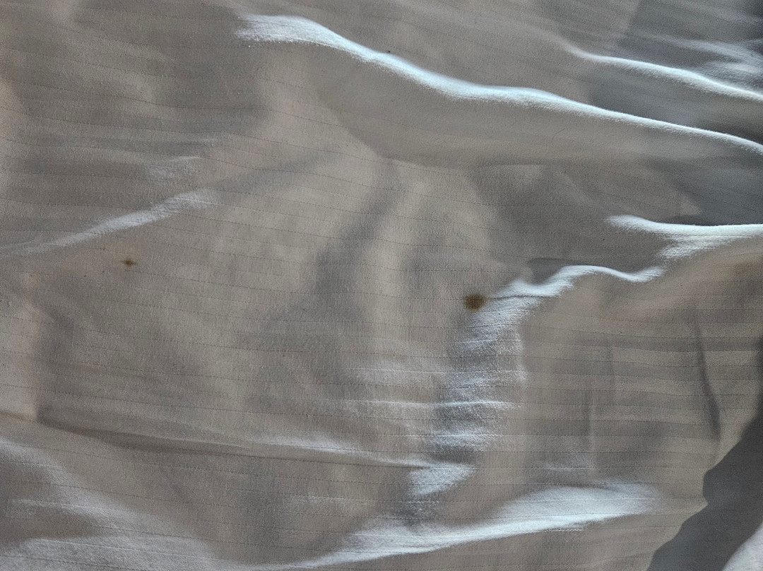 Rodeway Inn Calhoun South主图