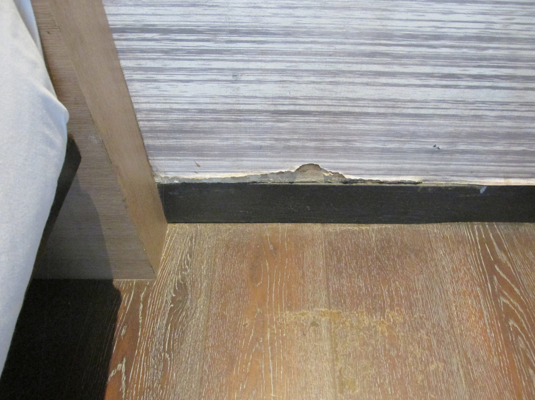 Le Méridien Goa, Calangute主图