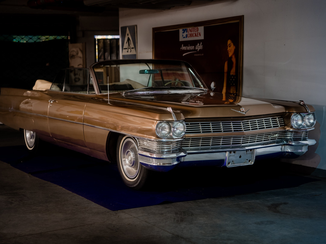 American Old Cars & Wystawa Coca-cola景点图片