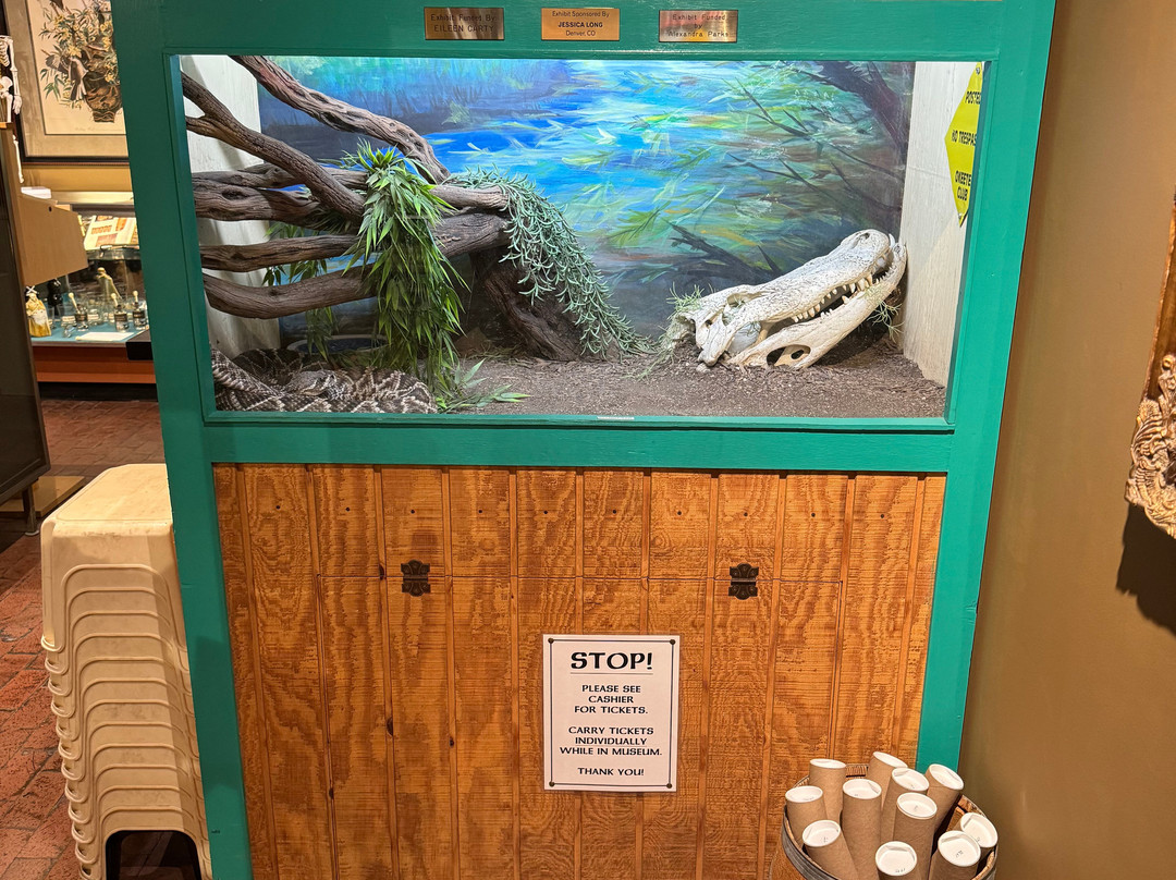 American International Rattlesnake Museum-阿尔伯克基必去景点