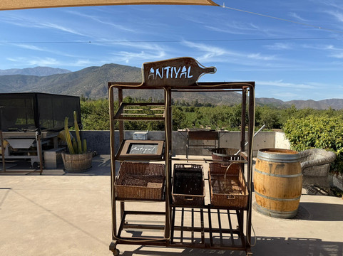 Bodega Wine Tours-圣地亚哥必去景点