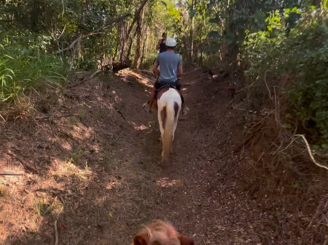 Horseback Rides by Pintos R Us-吕康必去景点