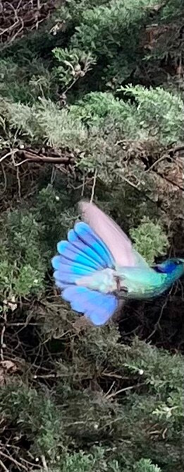 Quinta Galeon Lodge主图