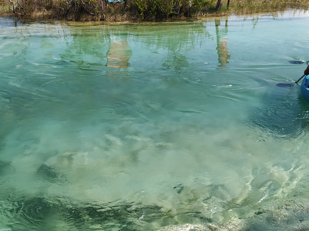 Estromatolitos-Bacalar必去景点