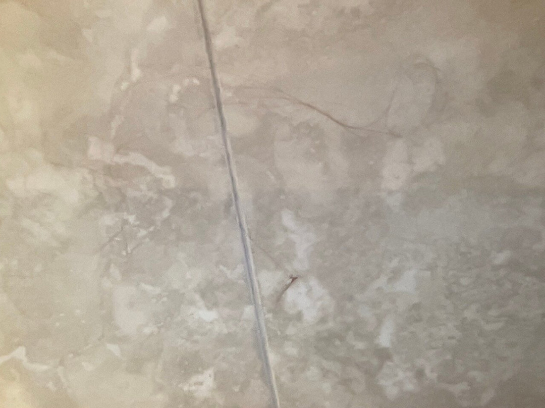 纳奈莫旅游宾馆主图