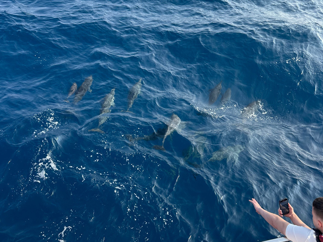 Whale Watching Mirissa with Geeth-美蕊沙必去景点