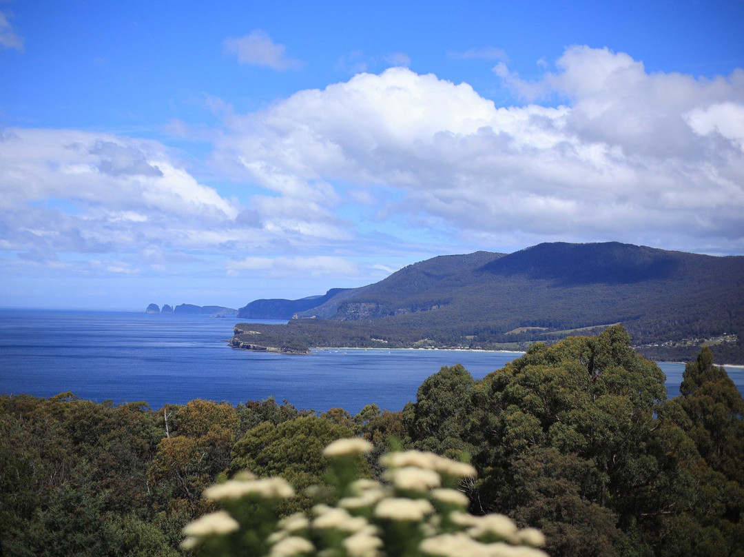 Wild Escapes Tasmania-霍巴特必去景点