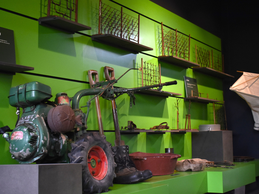 Zeeuws Fruit Museum-Kapelle必去景点