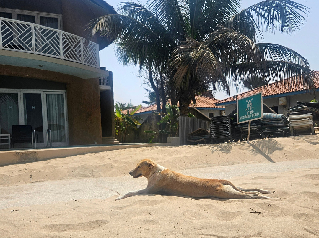Balafon Beach Resort主图