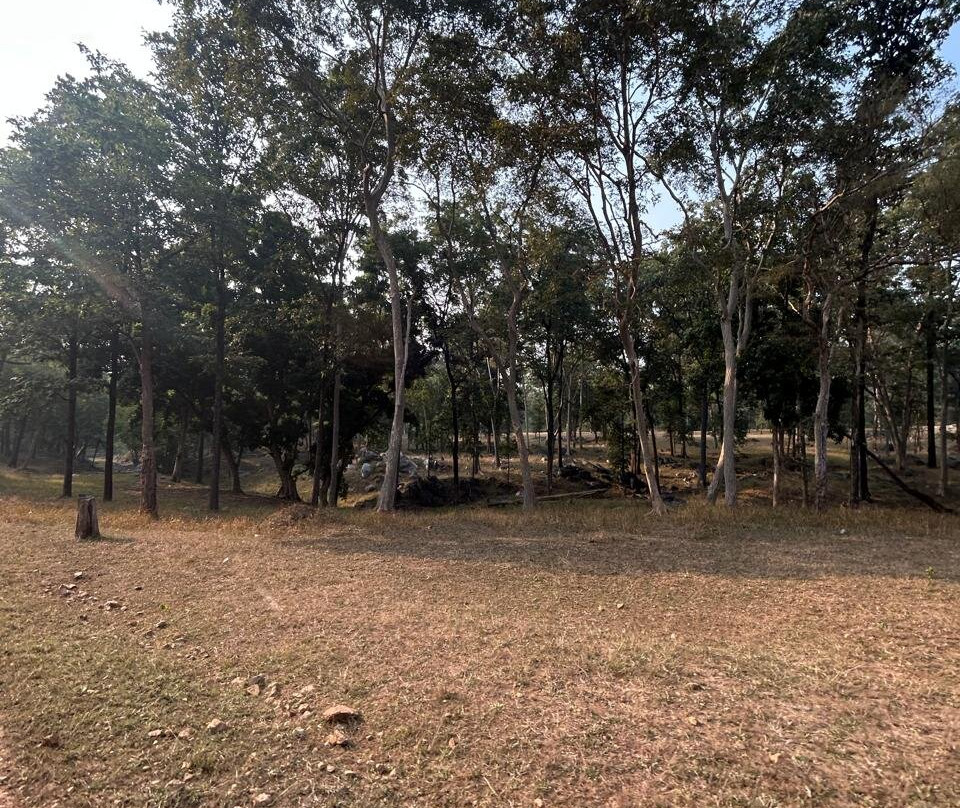 Betla National Park-Palamu District必去景点